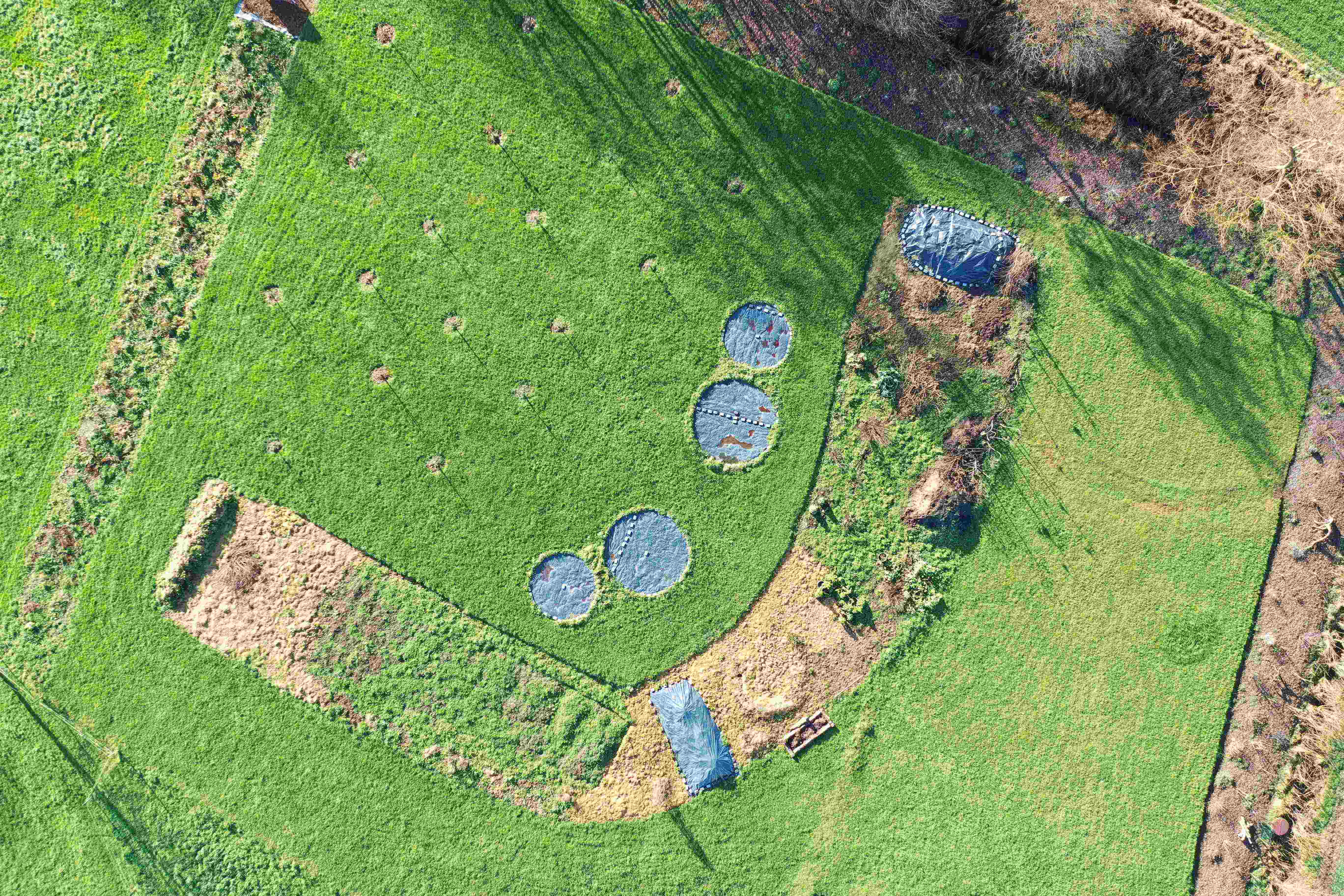 Gemüsegarten Gemüsegarten